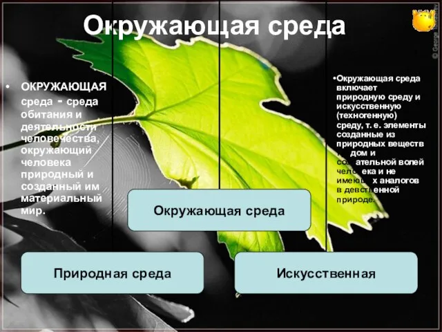 Окружающая среда ОКРУЖАЮЩАЯ среда - среда обитания и деятельности человечества, окружающий человека