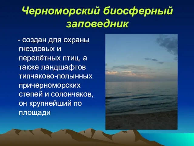 Черноморский биосферный заповедник - создан для охраны гнездовых и перелётных птиц, а