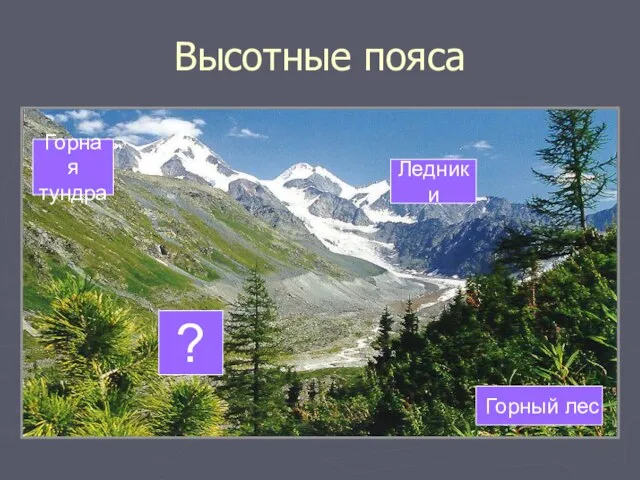 Высотные пояса Горный лес Ледники Горная тундра ?