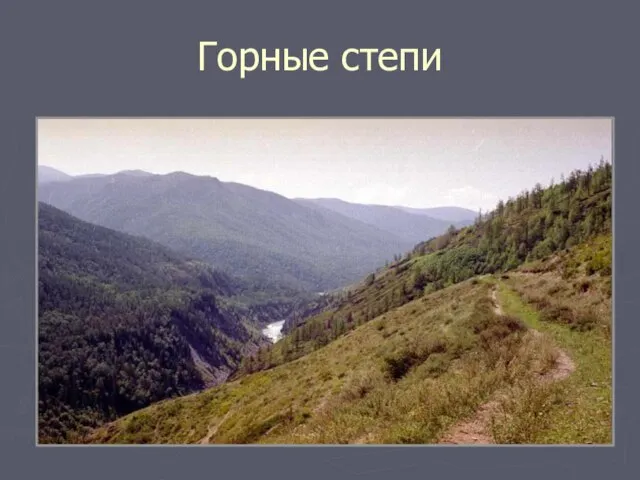 Горные степи