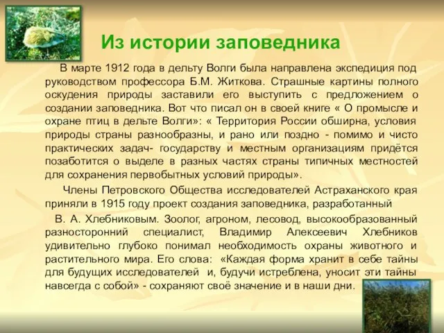 Из истории заповедника В марте 1912 года в дельту Волги была направлена