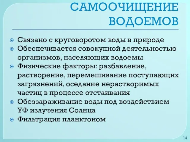 САМООЧИЩЕНИЕ ВОДОЕМОВ Связано с круговоротом воды в природе Обеспечивается совокупной деятельностью организмов,