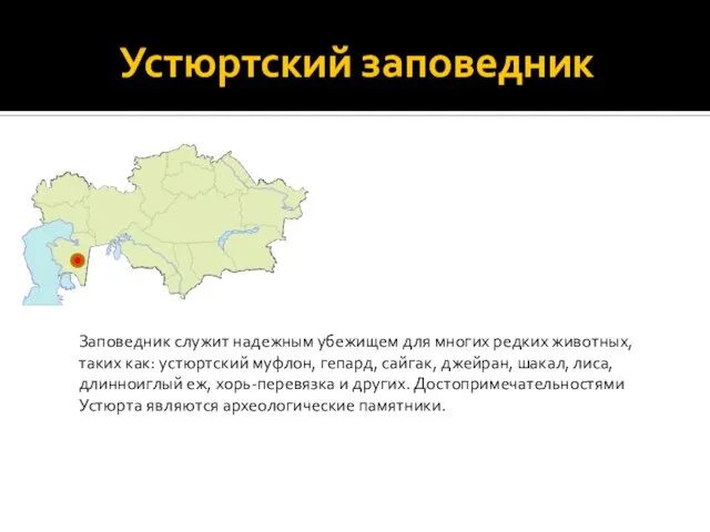 Устюртский заповедник Заповедник служит надежным убежищем для многих редких животных, таких как: