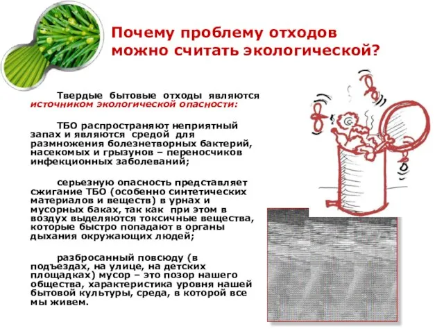 Почему проблему отходов можно считать экологической? Твердые бытовые отходы являются источником экологической