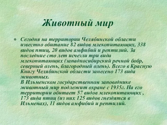 Животный мир Сегодня на территории Челябинской области известно обитание 82 видов млекопитающих,