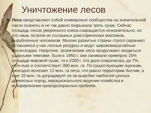 Уничтожение лесов Леса представляют собой климаксные сообщества на значительной части планеты и