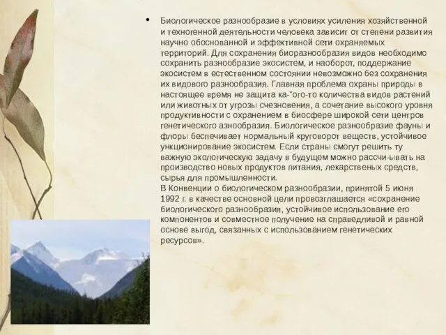 Биологическое разнообразие в условиях усиления хозяйственной и техногенной деятельности человека зависит от