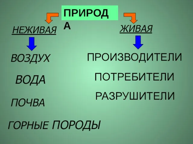 ПРОИЗВОДИТЕЛИ ПОТРЕБИТЕЛИ РАЗРУШИТЕЛИ ВОЗДУХ ВОДА ГОРНЫЕ ПОРОДЫ ПОЧВА ПРИРОДА НЕЖИВАЯ ЖИВАЯ