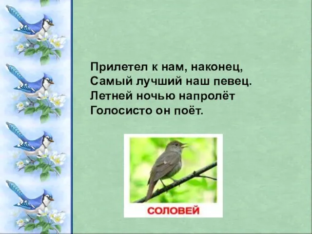 Прилетел к нам, наконец, Самый лучший наш певец. Летней ночью напролёт Голосисто он поёт.