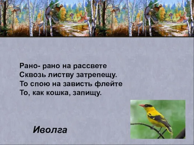 Рано- рано на рассвете Сквозь листву затрепещу. То спою на зависть флейте