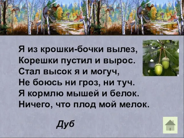 Я из крошки-бочки вылез, Корешки пустил и вырос. Стал высок я и