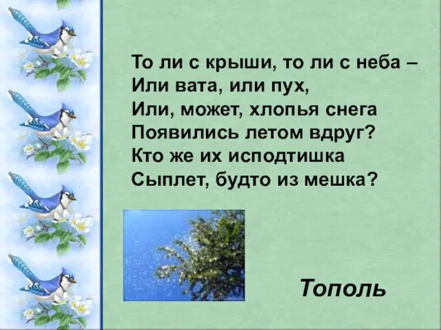 То ли с крыши, то ли с неба – Или вата, или