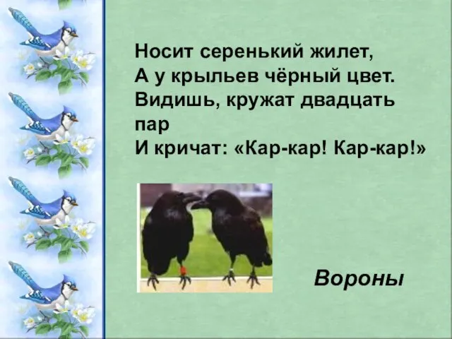 Носит серенький жилет, А у крыльев чёрный цвет. Видишь, кружат двадцать пар