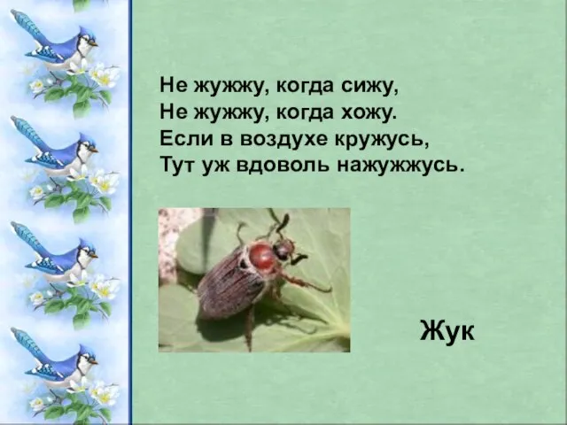 Не жужжу, когда сижу, Не жужжу, когда хожу. Если в воздухе кружусь,