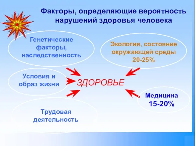 ЗДОРОВЬЕ Генетические факторы, наследственность Экология, состояние окружающей среды 20-25% Трудовая деятельность Медицина