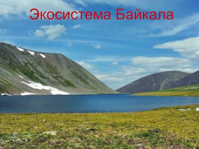 Презентация на тему Экосистема Байкала