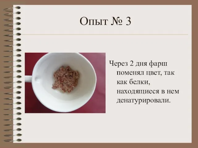 Опыт № 3 Через 2 дня фарш поменял цвет, так как белки, находящиеся в нем денатурировали.