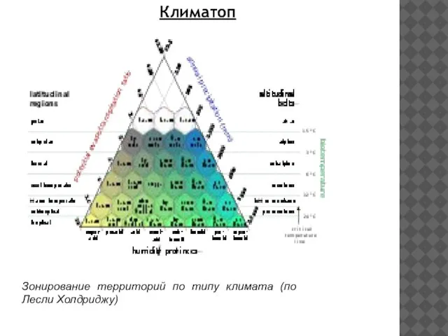 Климатоп Зонирование территорий по типу климата (по Лесли Холдриджу)