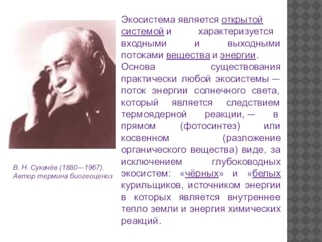 В. Н. Сукачёв (1880—1967). Автор термина биогеоценоз Экосистема является открытой системой и