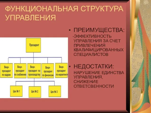 ФУНКЦИОНАЛЬНАЯ СТРУКТУРА УПРАВЛЕНИЯ ПРЕИМУЩЕСТВА: -ЭФФЕКТИВНОСТЬ УПРАВЛЕНИЯ ЗА СЧЕТ ПРИВЛЕЧЕНИЯ КВАЛИФИЦИРОВАННЫХ СПЕЦИАЛИСТОВ НЕДОСТАТКИ: