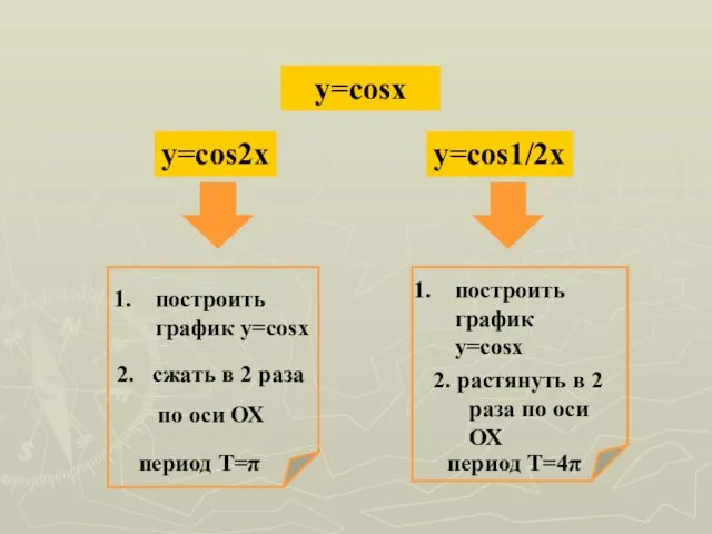 y=cosx y=cos2x y=cos1/2x