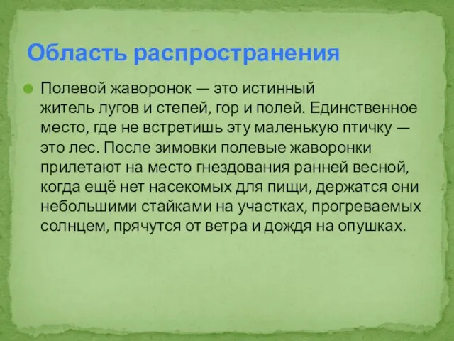 Полевой жаворонок — это истинный житель лугов и степей, гор и полей.