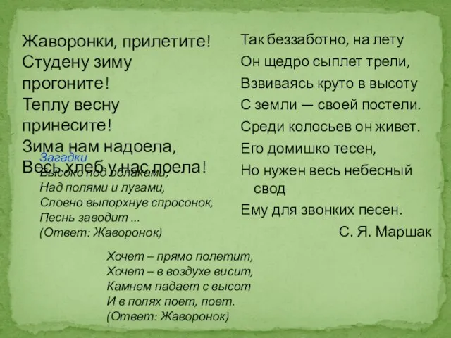 Так беззаботно, на лету Он щедро сыплет трели, Взвиваясь круто в высоту