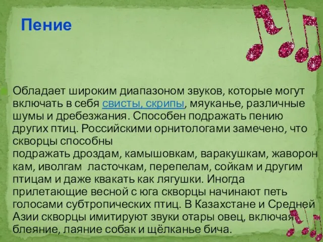 Обладает широким диапазоном звуков, которые могут включать в себя свисты, скрипы, мяуканье,