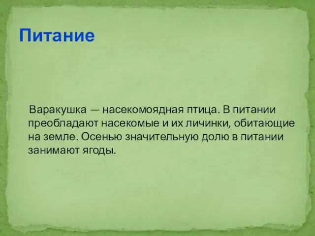 Варакушка — насекомоядная птица. В питании преобладают насекомые и их личинки, обитающие