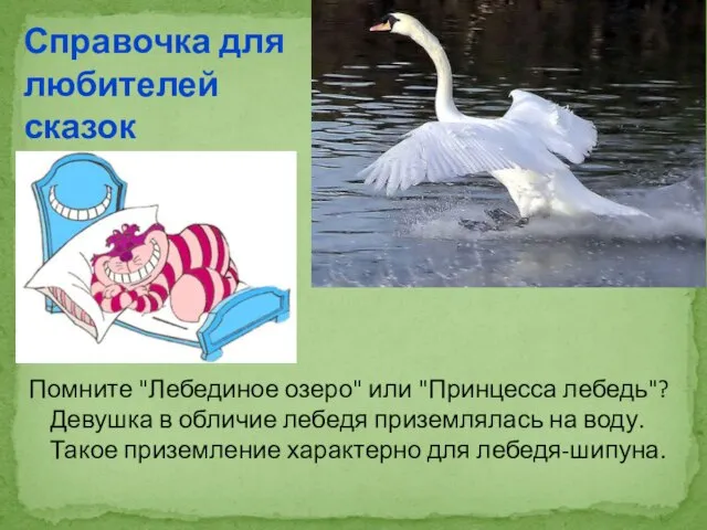 Помните "Лебединое озеро" или "Принцесса лебедь"? Девушка в обличие лебедя приземлялась на