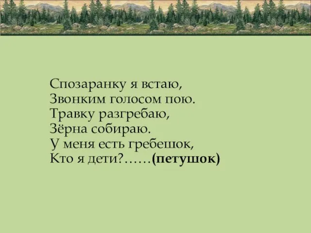 Спозаранку я встаю, Звонким голосом пою. Травку разгребаю, Зёрна собираю. У меня