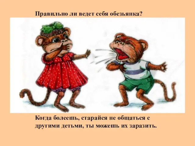 Правильно ли ведет себя обезьянка? Когда болеешь, старайся не общаться с другими