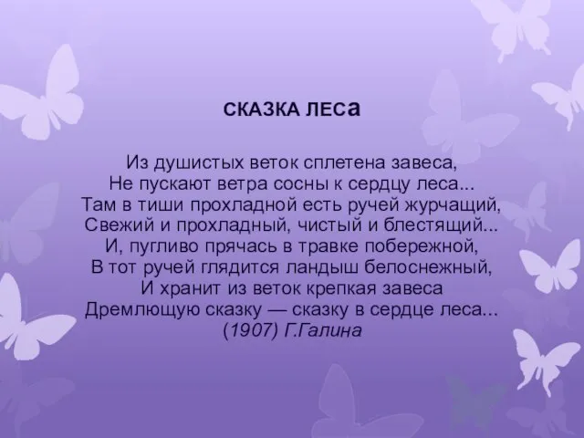 СКАЗКА ЛЕСа Из душистых веток сплетена завеса, Не пускают ветра сосны к