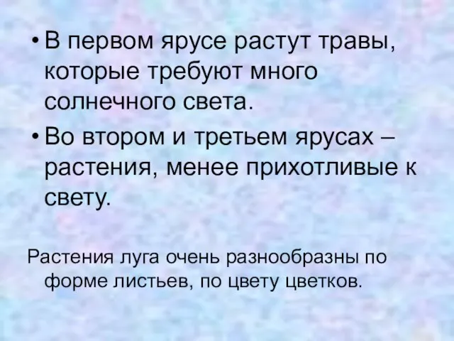 В первом ярусе растут травы, которые требуют много солнечного света. Во втором