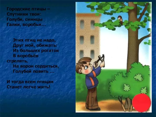 Городские птицы – Спутники твои: Голуби, синицы Галки, воробьи… Этих птиц не