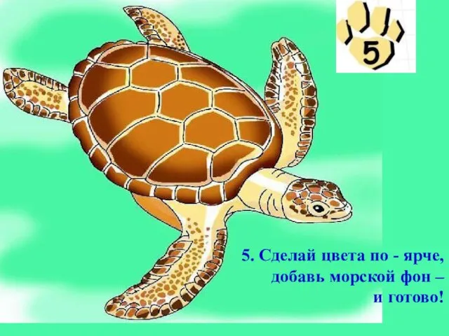 5. Сделай цвета по - ярче, добавь морской фон – и готово!