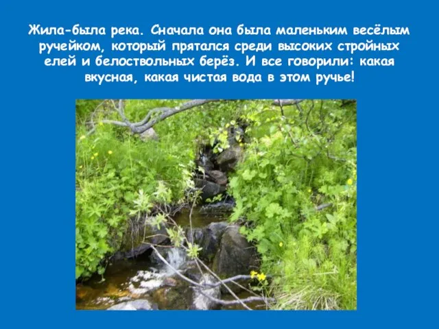 Жила-была река. Сначала она была маленьким весёлым ручейком, который прятался среди высоких
