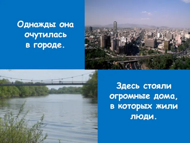 Однажды она очутилась в городе. Здесь стояли огромные дома, в которых жили люди.