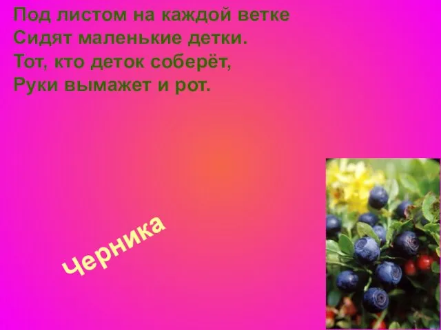 Черника Под листом на каждой ветке Сидят маленькие детки. Тот, кто деток