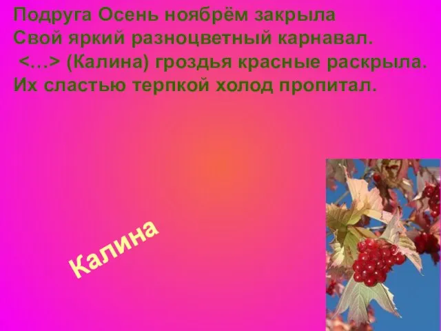 Калина Подруга Осень ноябрём закрыла Свой яркий разноцветный карнавал. (Калина) гроздья красные