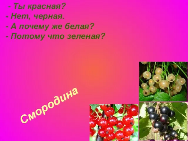 Смородина - Ты красная? - Нет, черная. - А почему же белая? - Потому что зеленая?