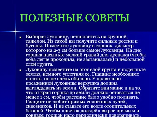 ПОЛЕЗНЫЕ СОВЕТЫ Выбирая луковицу, остановитесь на крупной, тяжелой. Из такой вы получите