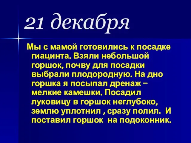 21 декабря Мы с мамой готовились к посадке гиацинта. Взяли небольшой горшок,