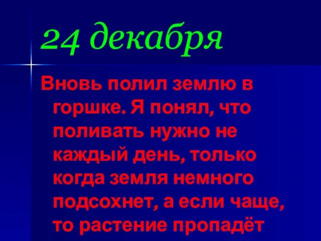 24 декабря Вновь полил землю в горшке. Я понял, что поливать нужно