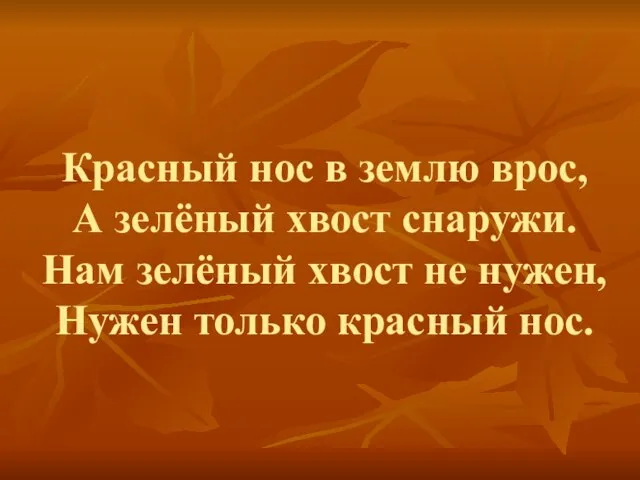 Красный нос в землю врос, А зелёный хвост снаружи. Нам зелёный хвост