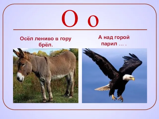 О о Осёл лениво в гору брёл. А над горой парил … .