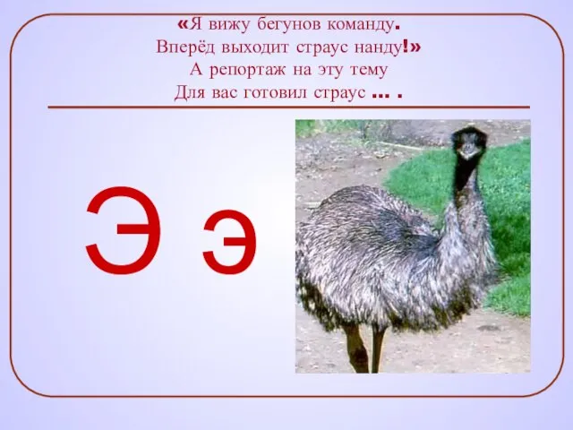 «Я вижу бегунов команду. Вперёд выходит страус нанду!» А репортаж на эту