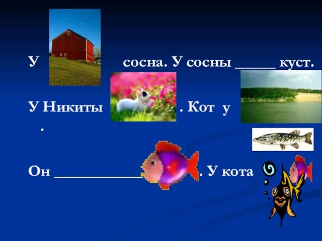 У сосна. У сосны _____ куст. У Никиты . Кот у .