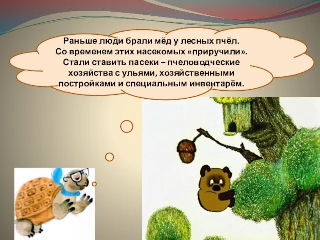 Раньше люди брали мёд у лесных пчёл. Со временем этих насекомых «приручили».