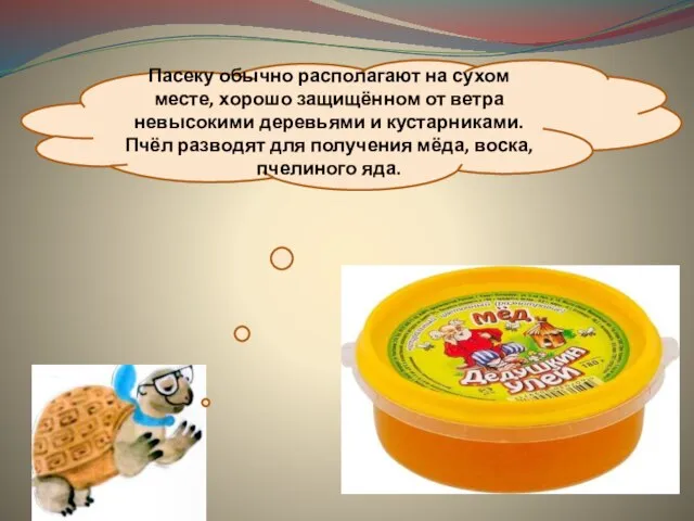 Пасеку обычно располагают на сухом месте, хорошо защищённом от ветра невысокими деревьями